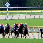 有馬記念の2017年予想は3連単でいこう！第１弾は過去６か月実績から！