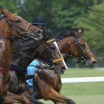 有馬記念の2017年予想はやっぱり3連複でいくかな！第２弾は今年の騎手成績から！